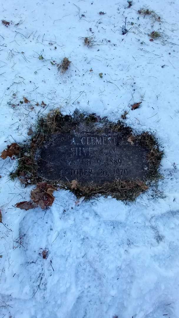 Doctor Abraham Clement Silverman's grave. Photo 3