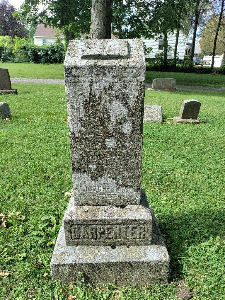 Wilfred A. Carpenter's grave. Photo 3