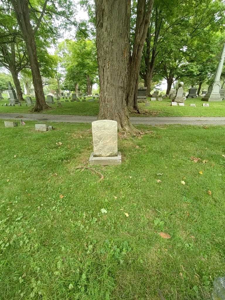 Lewis W. Tarnow's grave. Photo 1