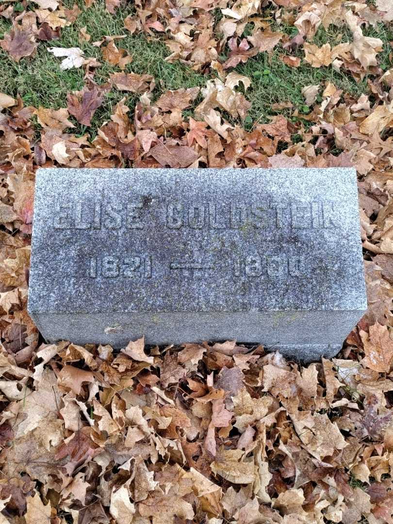 Elise Goldstein's grave. Photo 3