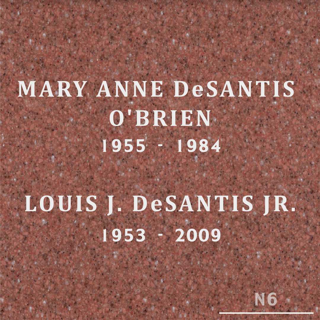 Louis J. DeSantis Junior's grave
