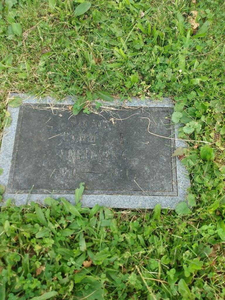 Tammy E. Vogelsang's grave. Photo 5