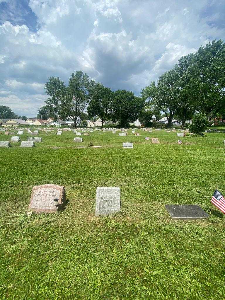 Alma Alla Hoppe's grave. Photo 1