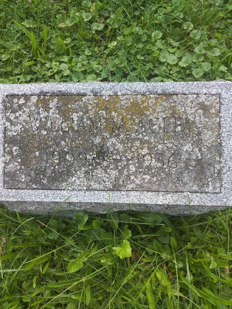 William M. Agley's grave. Photo 2