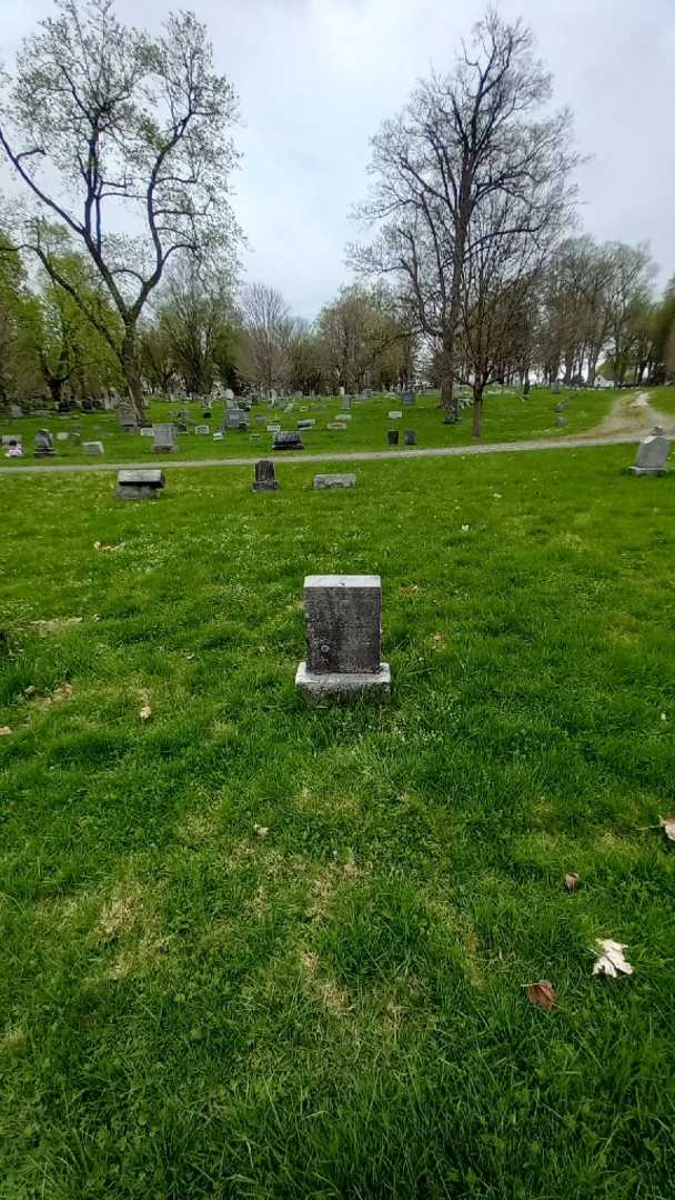 Ida Reed's grave. Photo 1