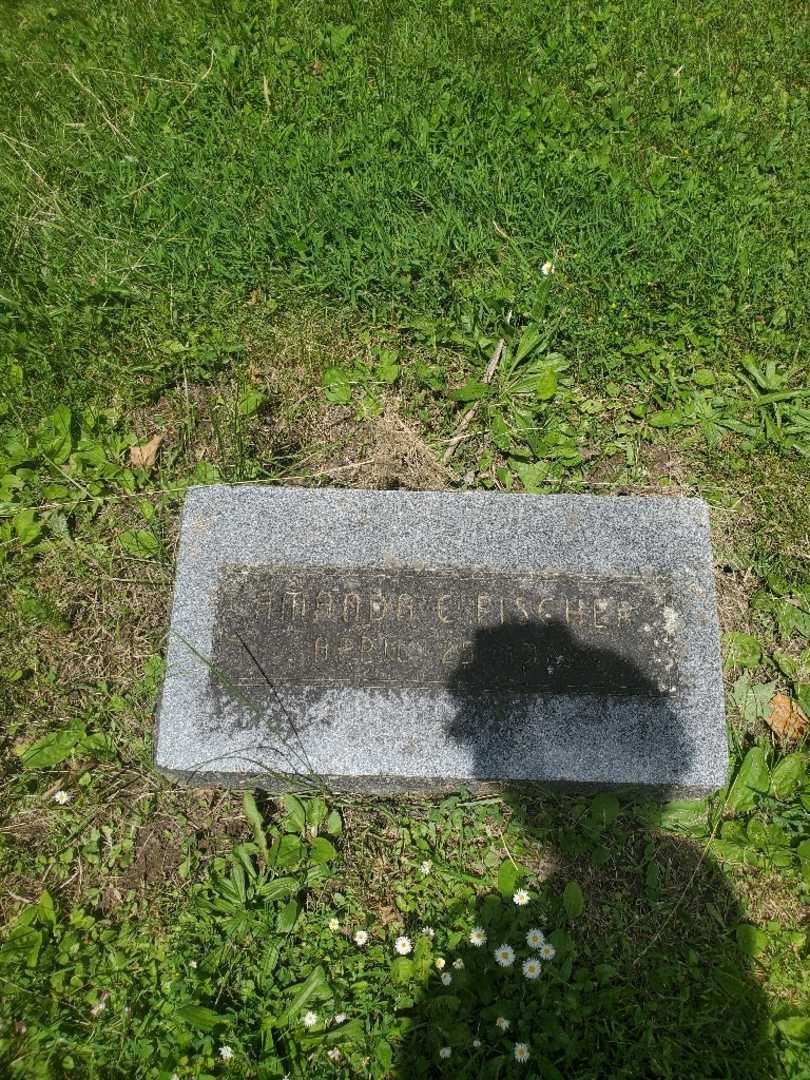 Amanda C. Fischer's grave. Photo 4