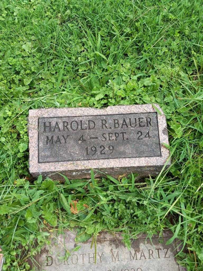 Harold R. Bauer's grave. Photo 2