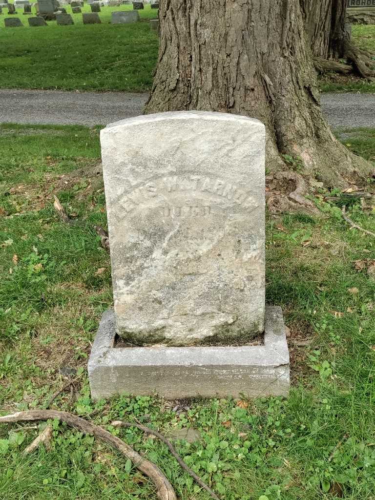 Lewis W. Tarnow's grave. Photo 2