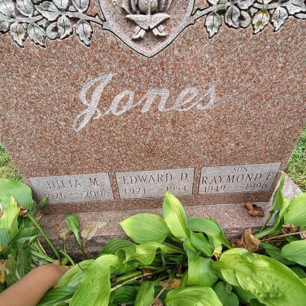 Edward D. Jones's grave. Photo 3