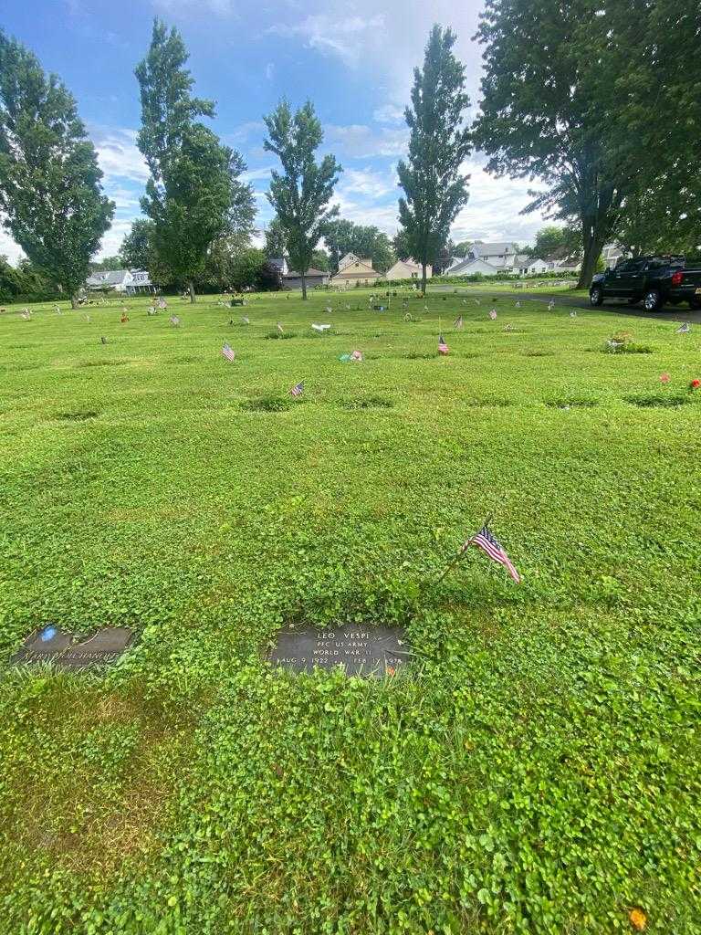 Leo Vespi's grave. Photo 1