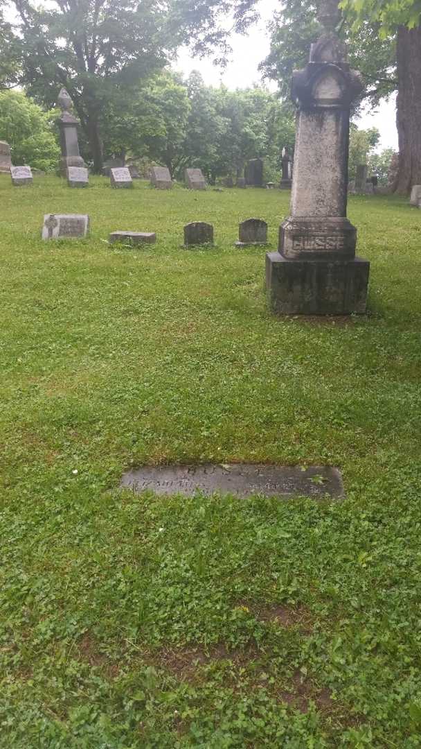 Albert Busse Junior's grave. Photo 1