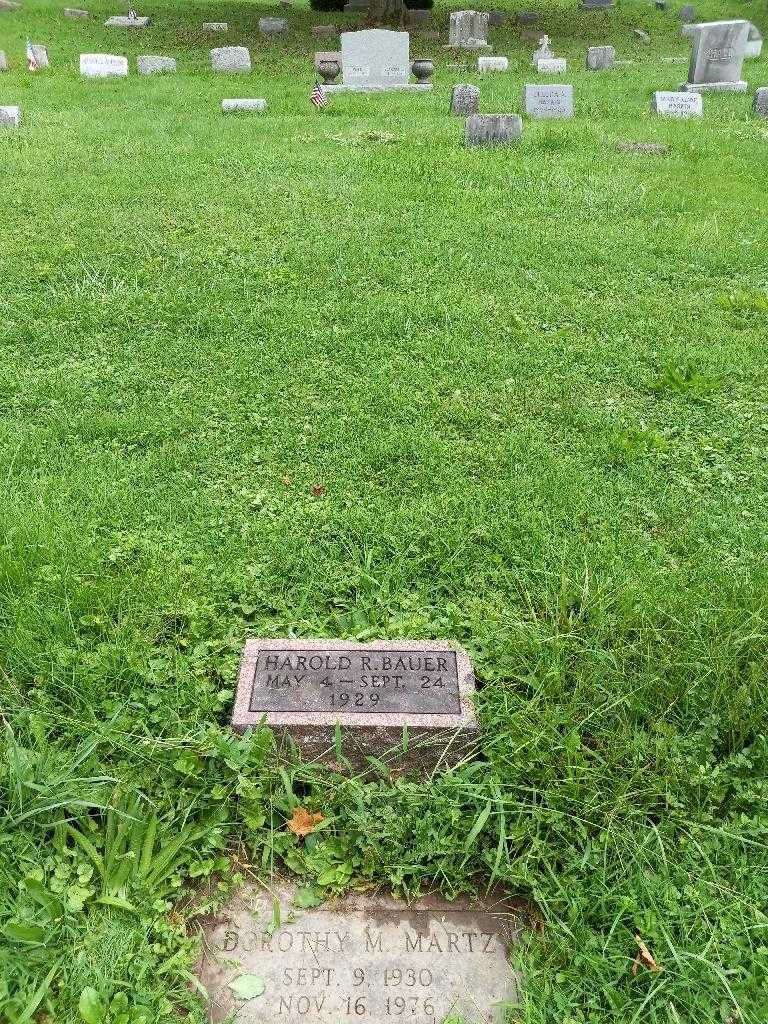 Harold R. Bauer's grave. Photo 3