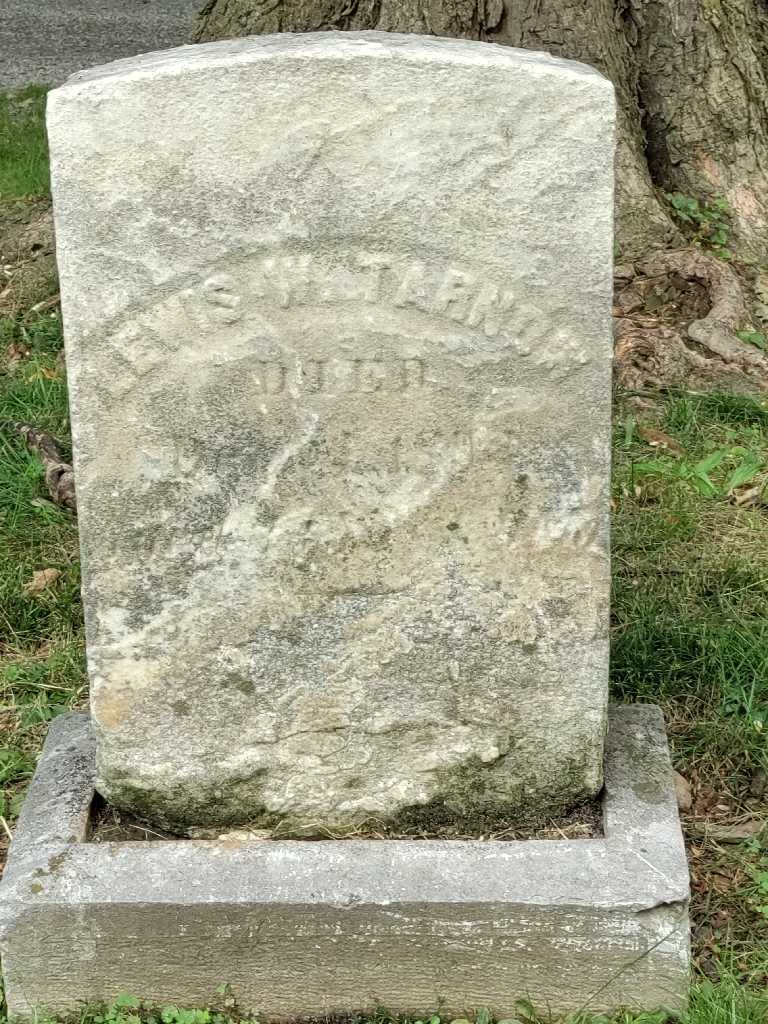 Lewis W. Tarnow's grave. Photo 3