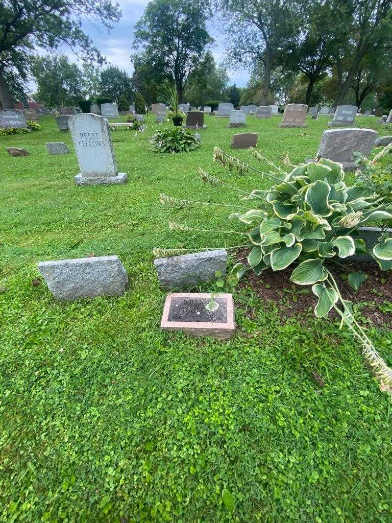 William Paetzke's grave. Photo 1
