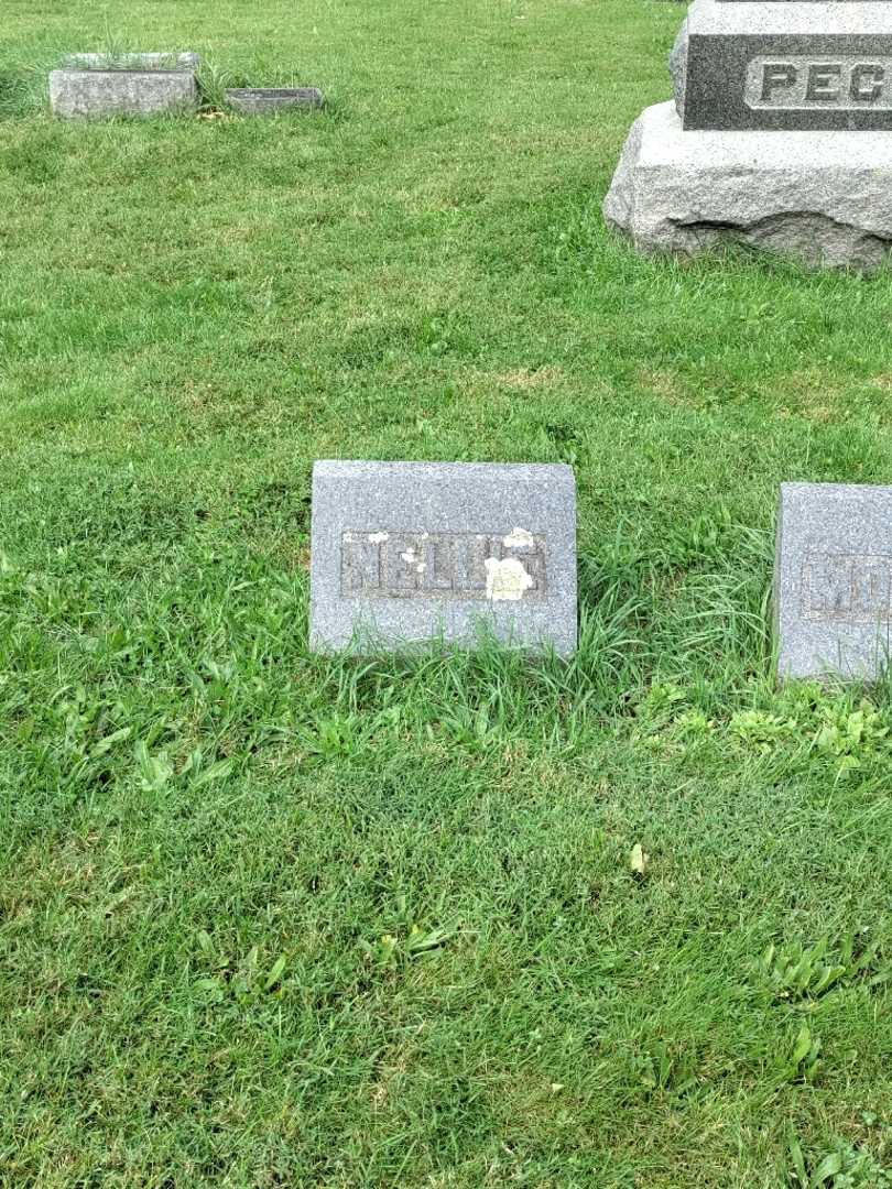 Nellie Blanche Baker's grave. Photo 2