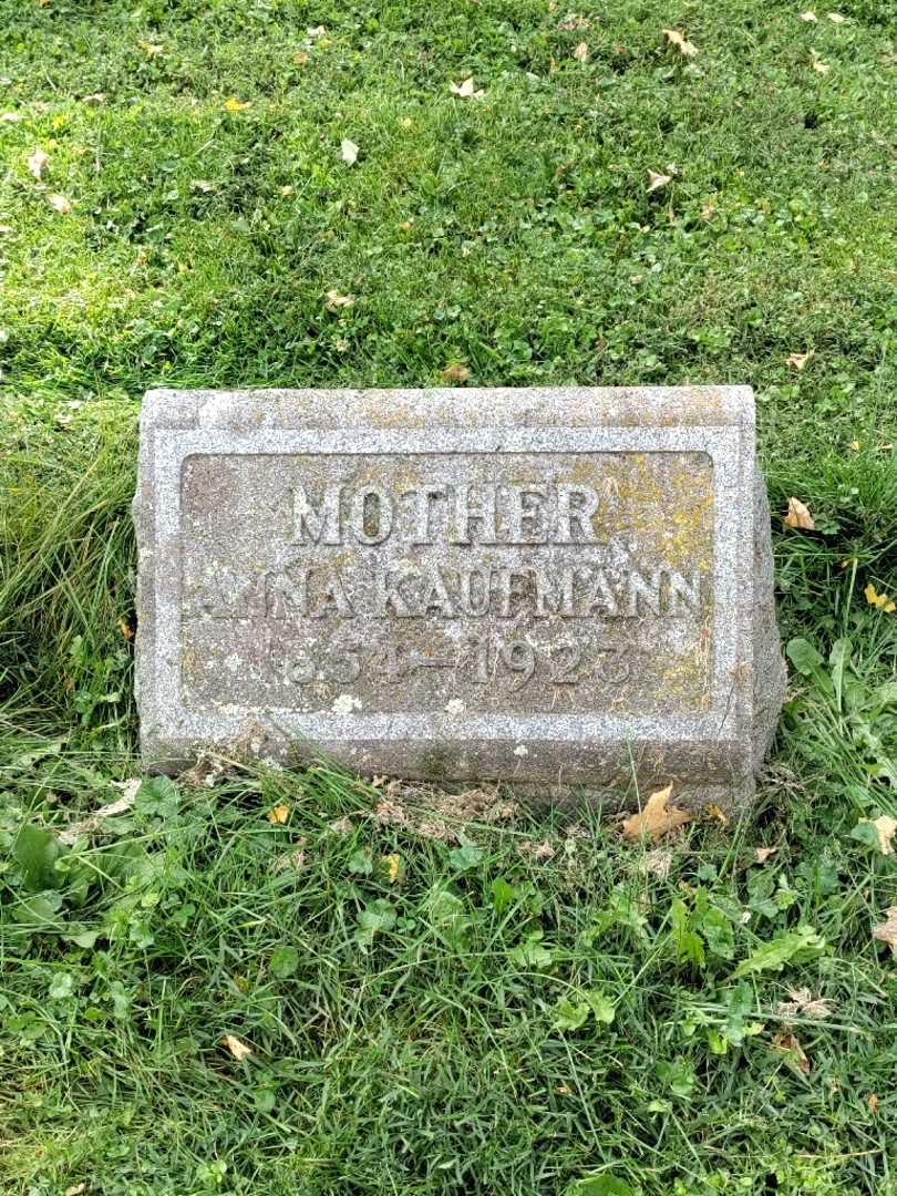 Anna Kaufmann's grave. Photo 2