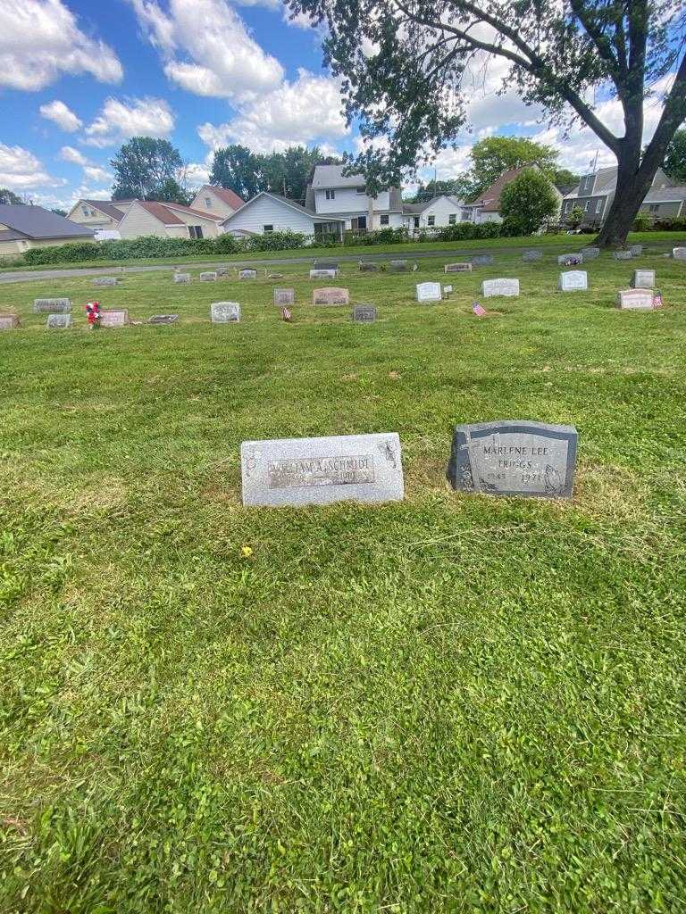William A. Schmidt's grave. Photo 1