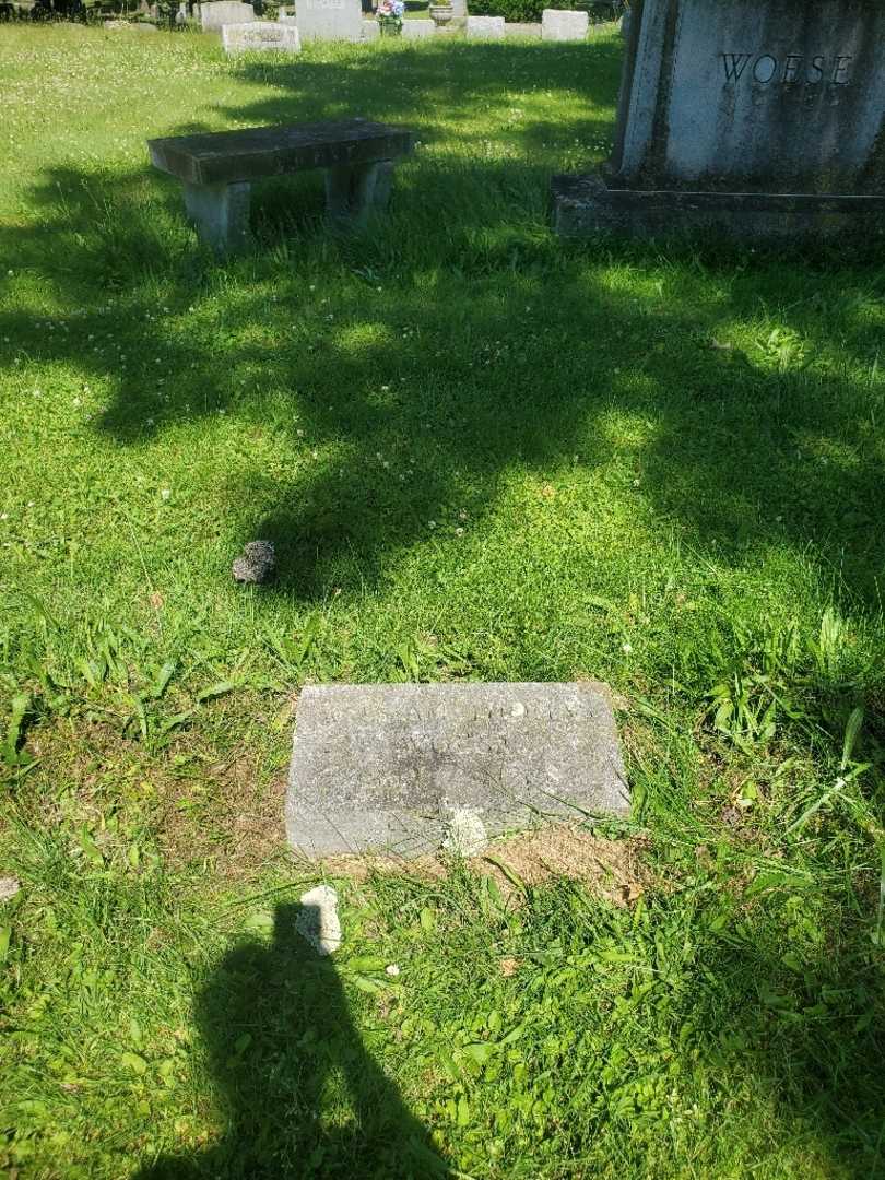William Thomas Woese's grave. Photo 2