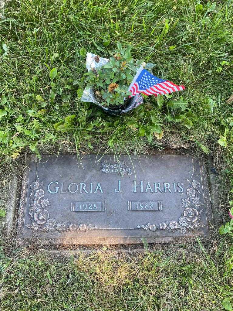 Gloria J. Harris's grave. Photo 1