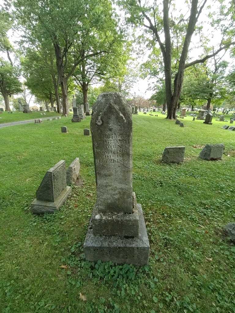 Louisa M. Schaffranski's grave. Photo 1