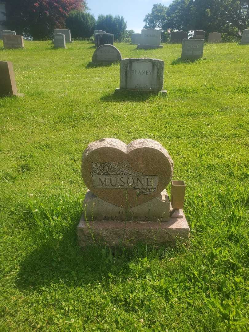 Elena Musone's grave. Photo 2