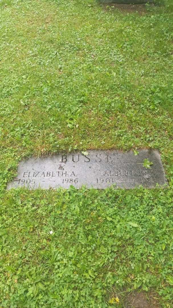 Albert Busse Junior's grave. Photo 2