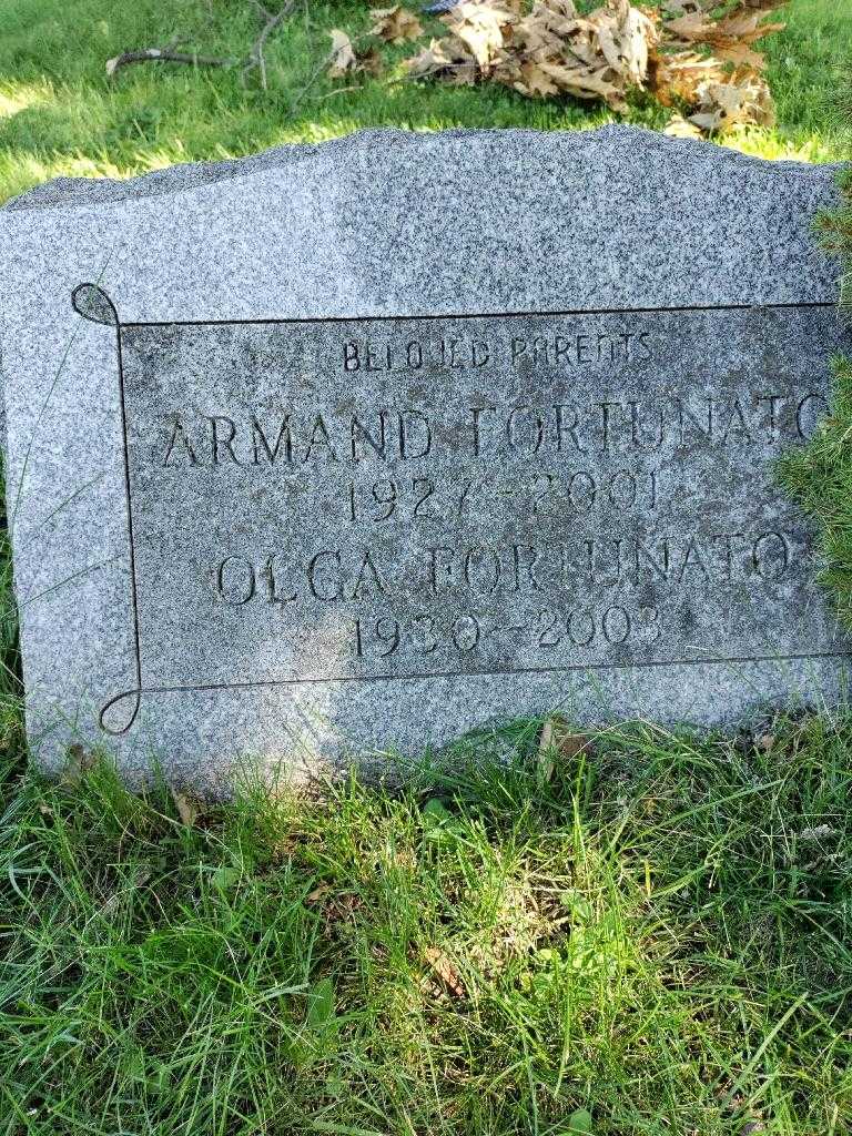 Armand Fortunato's grave. Photo 3