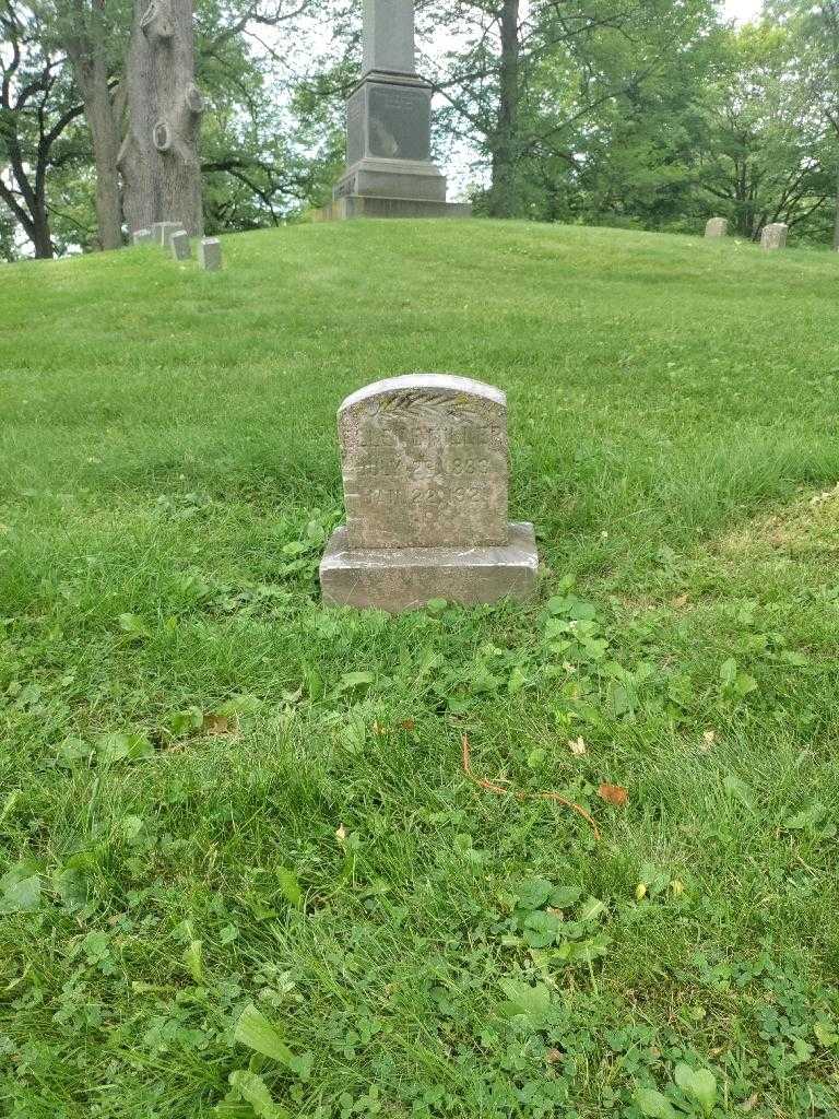 Ellen E. Miller's grave. Photo 1