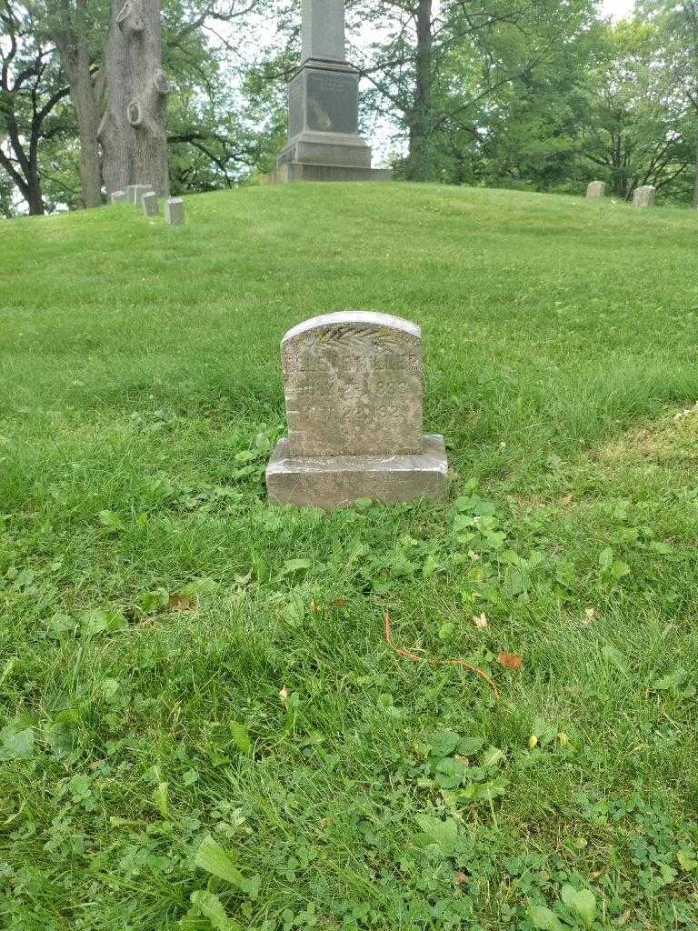 Ellen E. Miller's grave. Photo 2