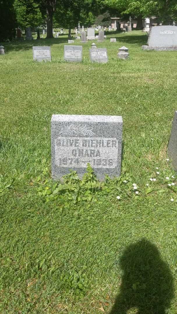 Olive O'Hara's grave. Photo 3