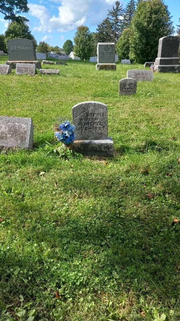 Sophia Michel's grave. Photo 1