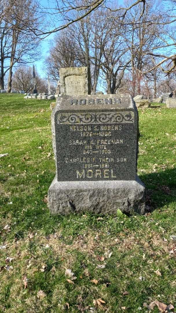 Nelson S. Robens's grave. Photo 2