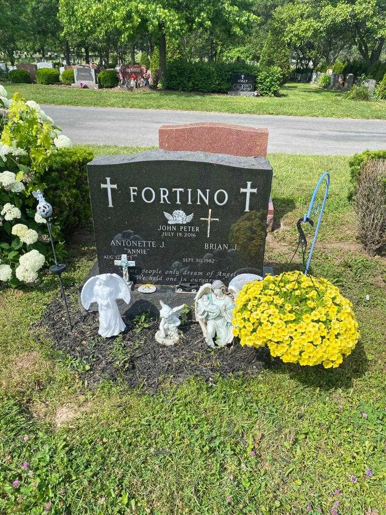 John Peter Fortino's grave. Photo 2