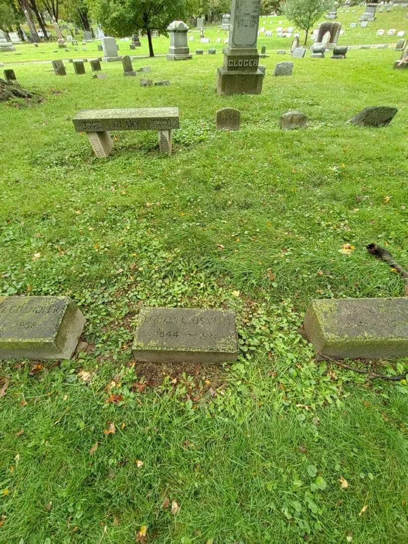 Louisa C. Oswald's grave. Photo 1