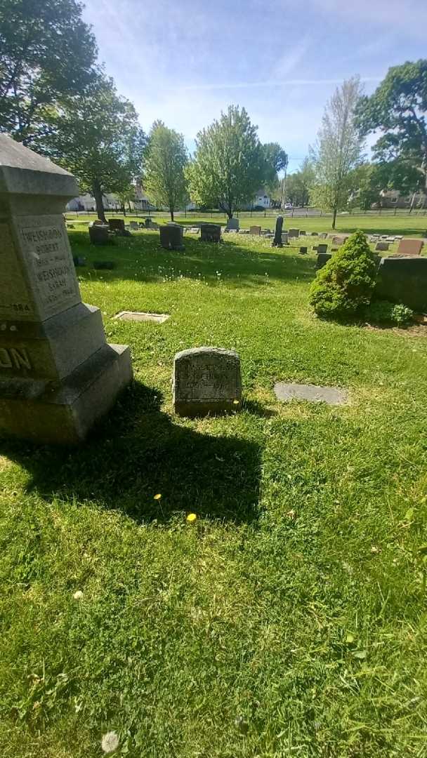 Walter K. Wisehoon's grave. Photo 1