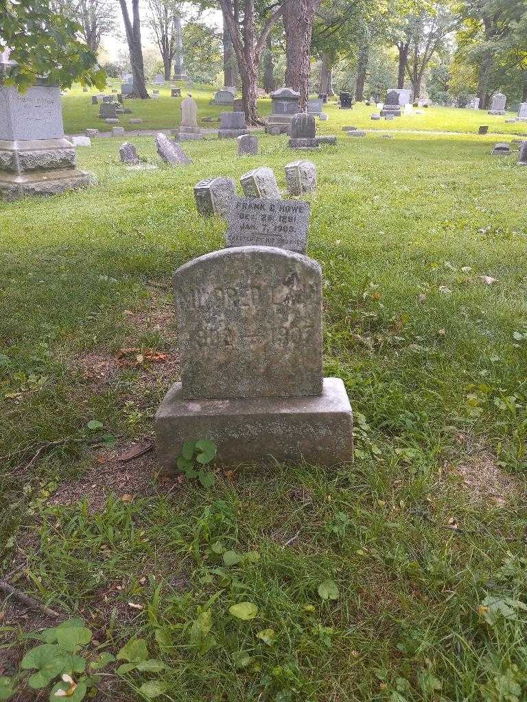 Mildred Lann's grave. Photo 2