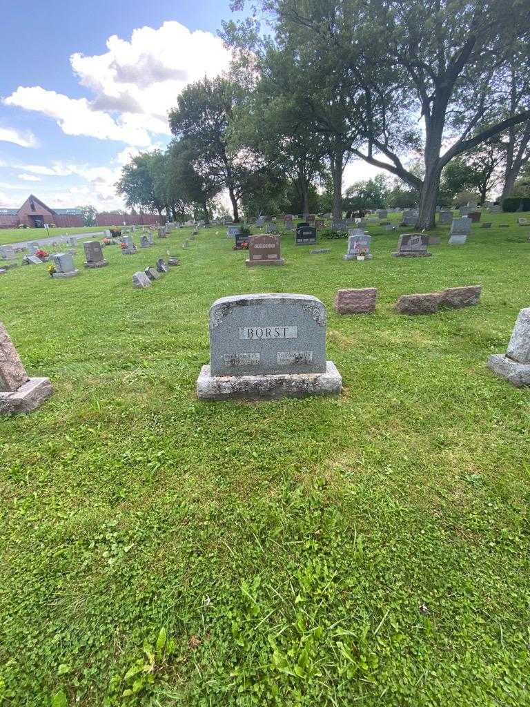 William Lee Borst's grave. Photo 1