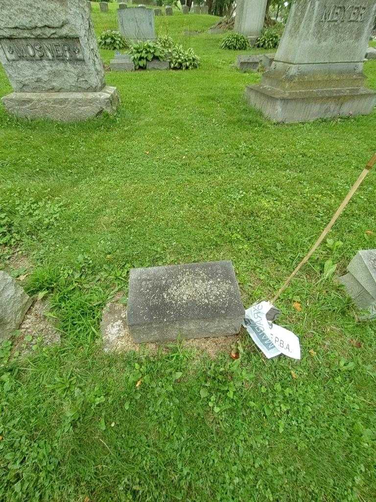 George Mosner's grave. Photo 1