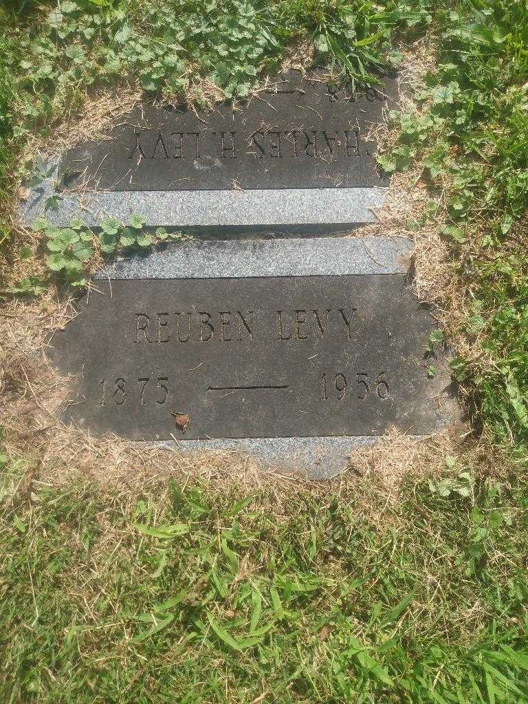 Reuben Levy's grave. Photo 3