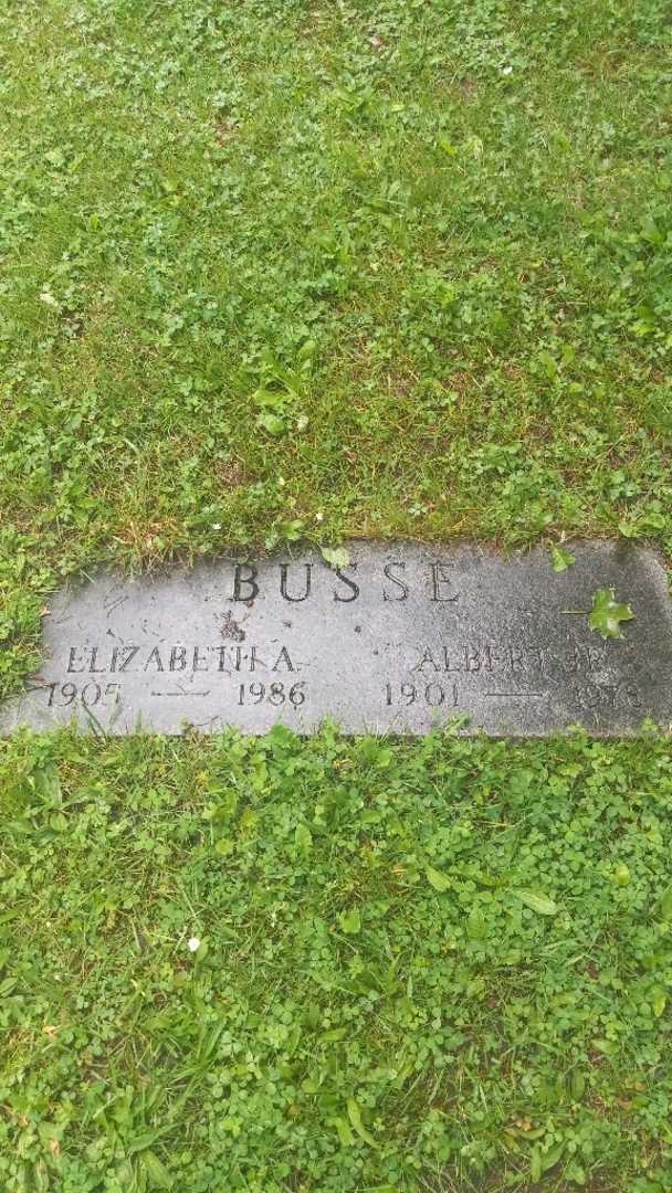 Albert Busse Junior's grave. Photo 3