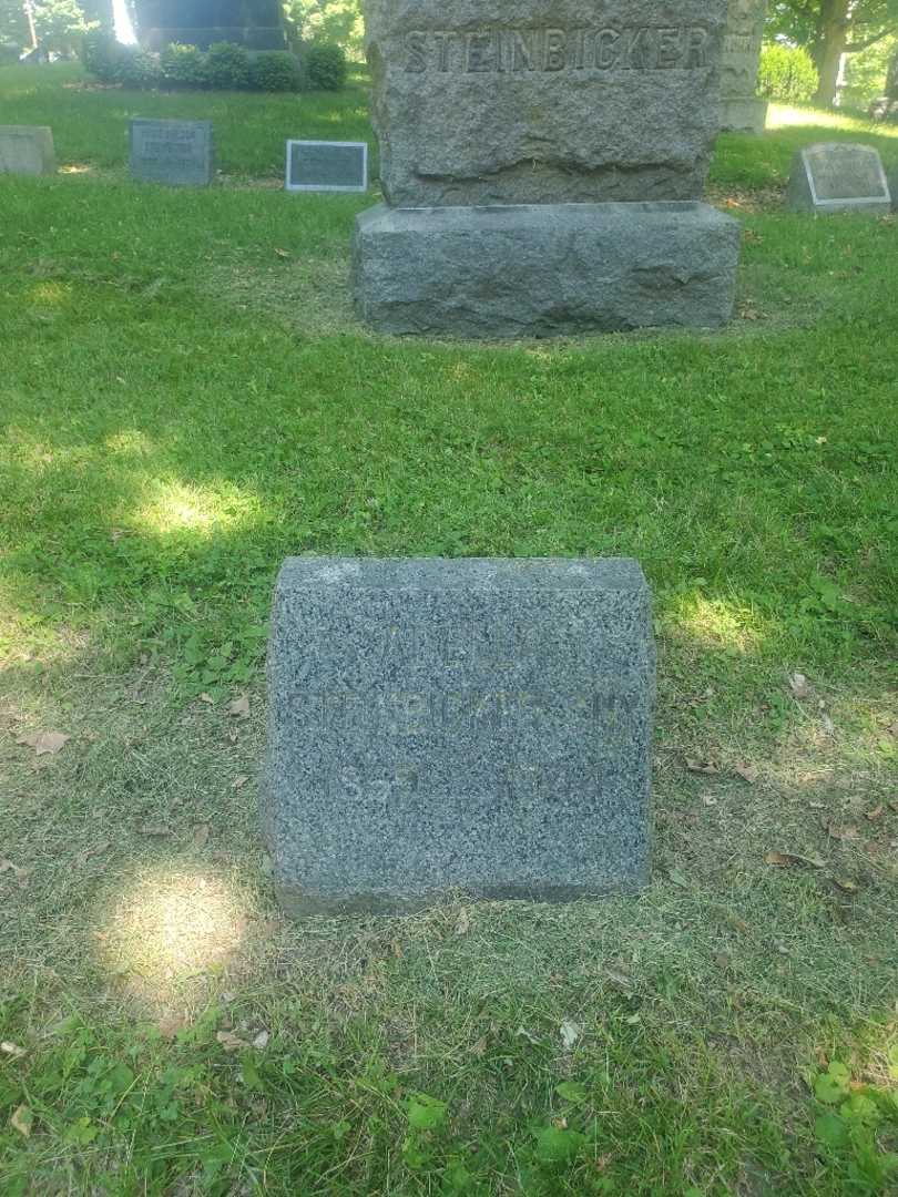 Adella M. Steinbicker Shy's grave. Photo 2