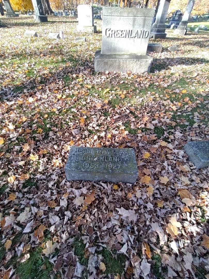 Herbert William Greenland's grave. Photo 1