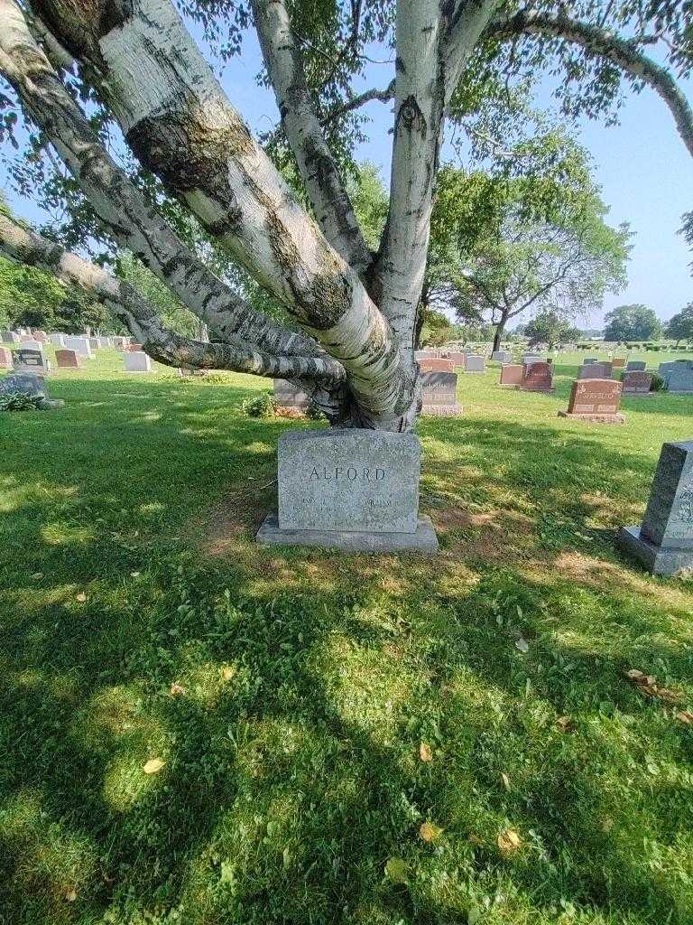 William R. Alford's grave. Photo 1