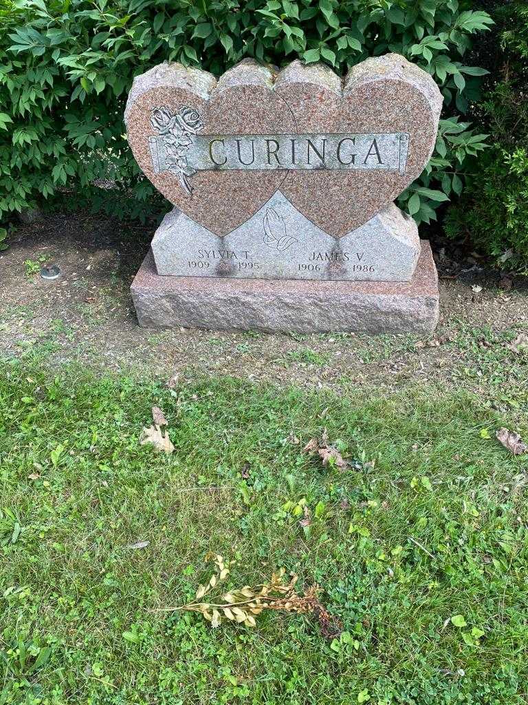 James V. Curinga's grave. Photo 2