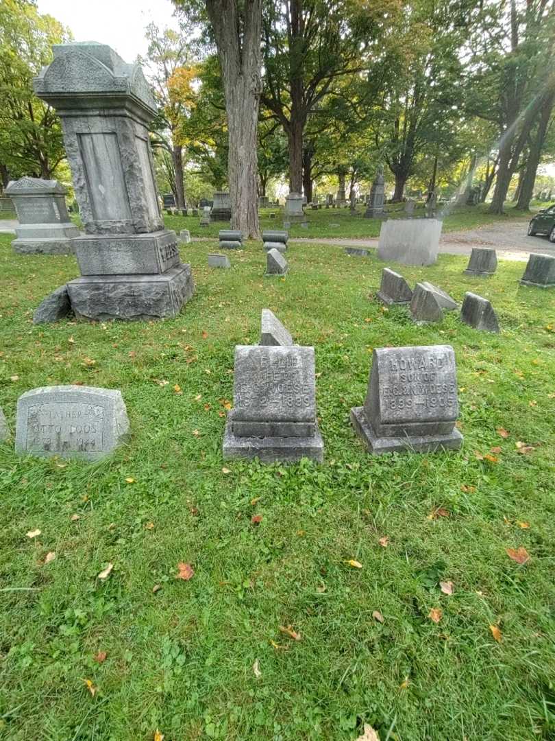 Nellie Woese's grave. Photo 1