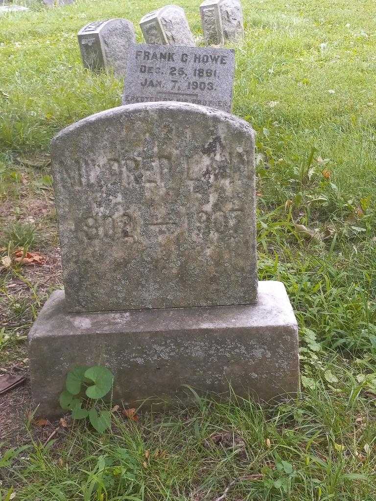 Mildred Lann's grave. Photo 3