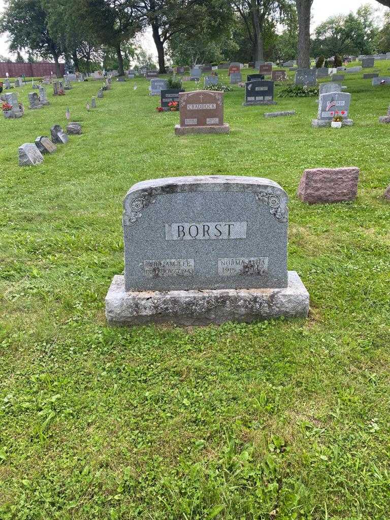 William Lee Borst's grave. Photo 2