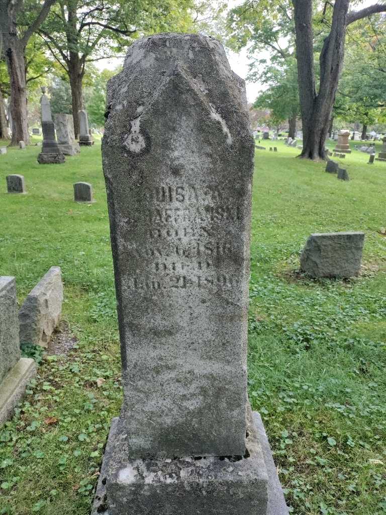 Louisa M. Schaffranski's grave. Photo 2