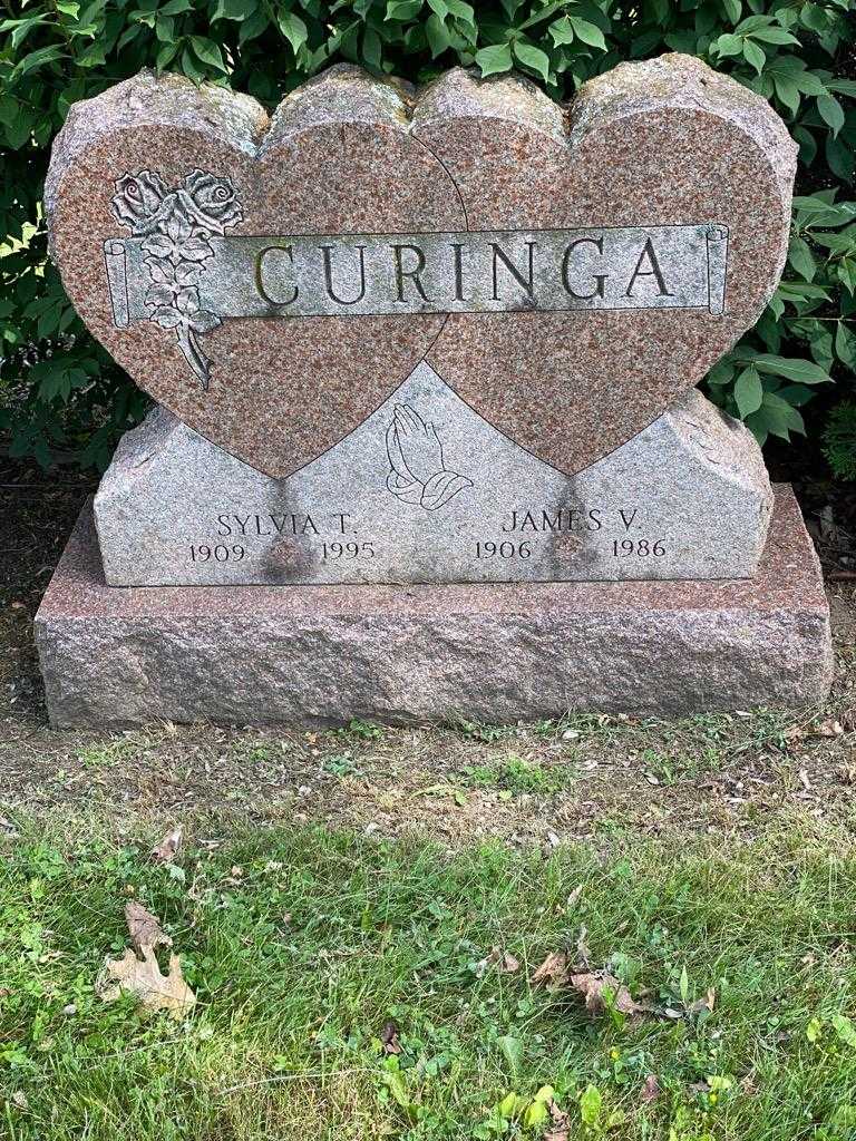 James V. Curinga's grave. Photo 3