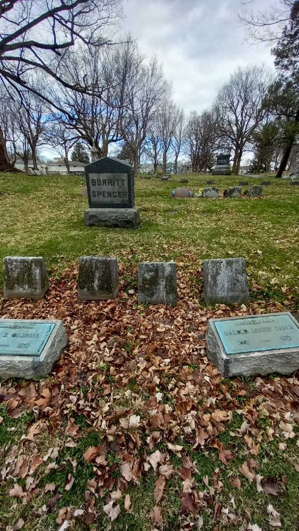 Frances Sophia Spencer's grave. Photo 1